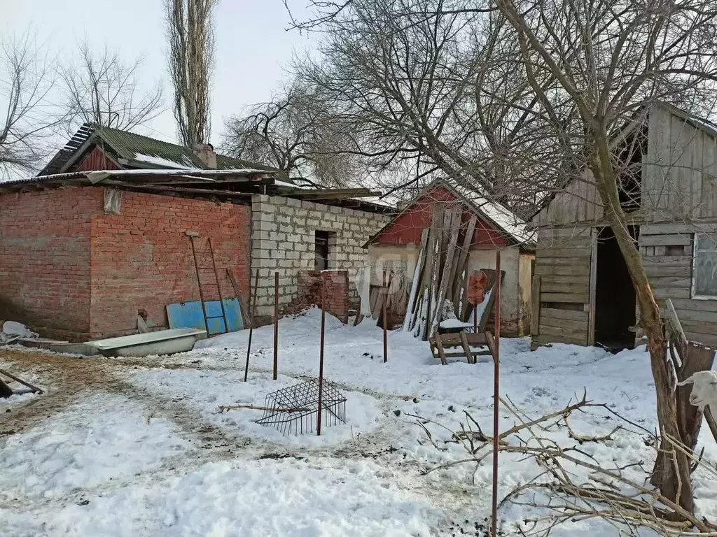 Дом в Воронежская область, Семилуки ул. Рязанцева (61 м) - Фото 1