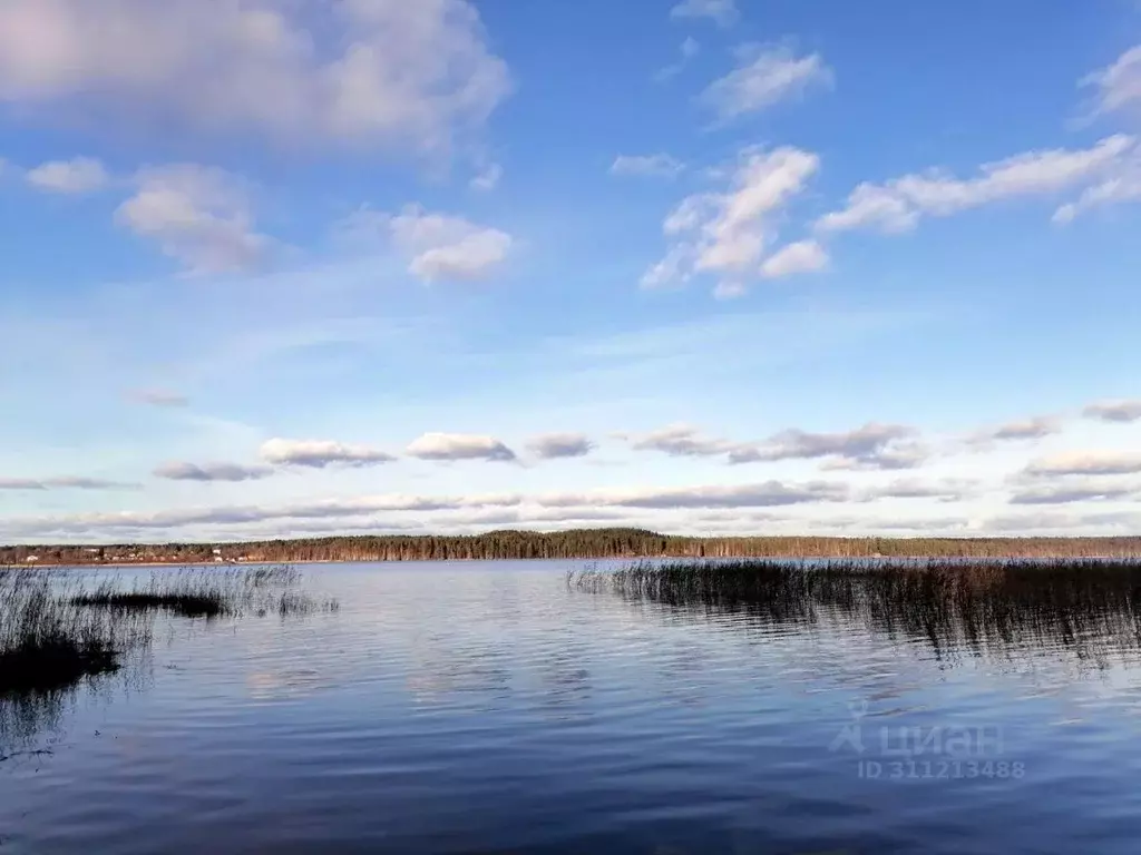 Участок в Ленинградская область, Выборгский район, Красносельское ... - Фото 0