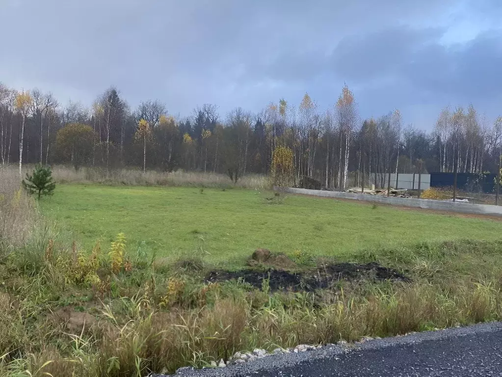 Участок в Московская область, Наро-Фоминский городской округ, д. ... - Фото 1