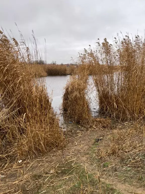 Участок в Волгоградская область, Волгоград ул. Ясногорская (4.3 сот.) - Фото 0