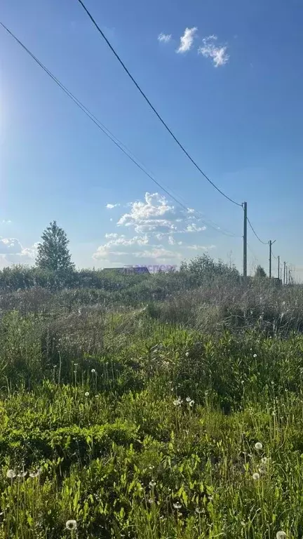 Участок в Тюменская область, Ялуторовск ул. Артемьева, 74 (10.0 сот.) - Фото 0
