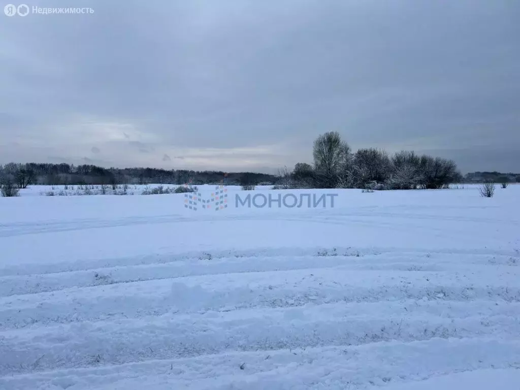 Участок в Нижегородская область, Богородский муниципальный округ, село ... - Фото 0