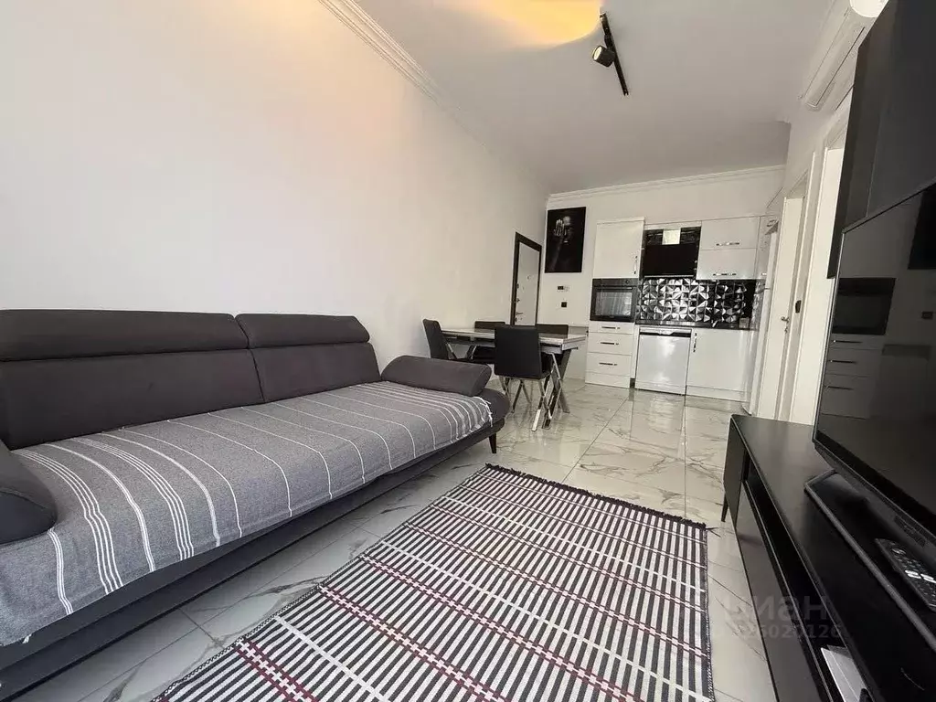 Студия Краснодарский край, Сочи Пластунская ул., 123Ак1 (30.0 м) - Фото 2