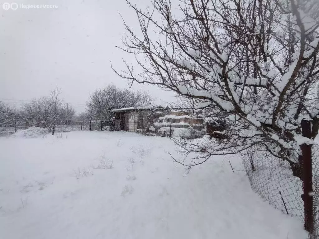 Участок в Добровское сельское поселение, СНТ Яблонька (4.2 м) - Фото 1