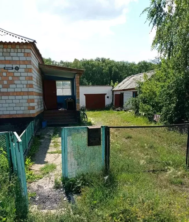Дом в Алтайский край, Благовещенский район, с. Алексеевка Лесная ул. ... - Фото 1