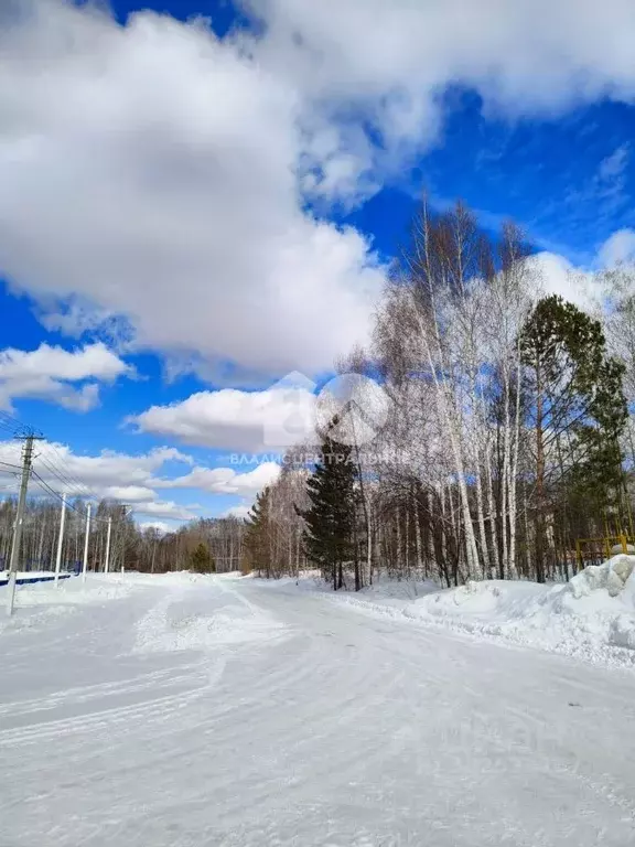 3-к кв. Новосибирская область, Новосибирский район, Мочищенский ... - Фото 0