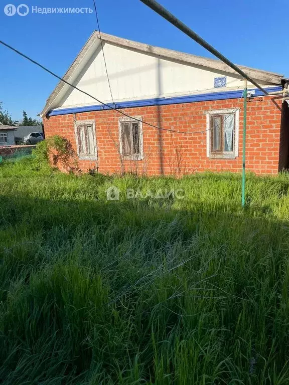 Дом в хутор Красная Нива, Длинная улица, 133 (45 м) - Фото 0