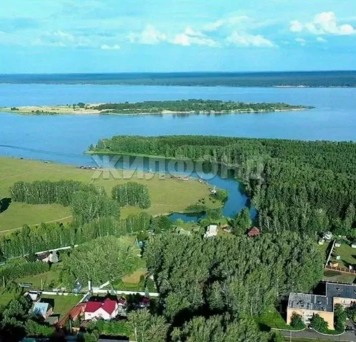 Участок в Новосибирская область, Ордынский район, с. Красный Яр ... - Фото 1