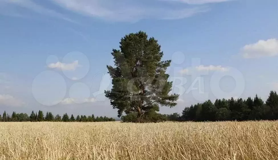 Участок 5,6 сот. (ИЖС) - Фото 1
