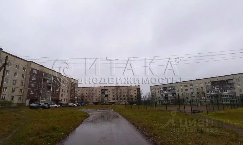 3-к кв. Ленинградская область, Бокситогорский район, Ефимовское ... - Фото 2