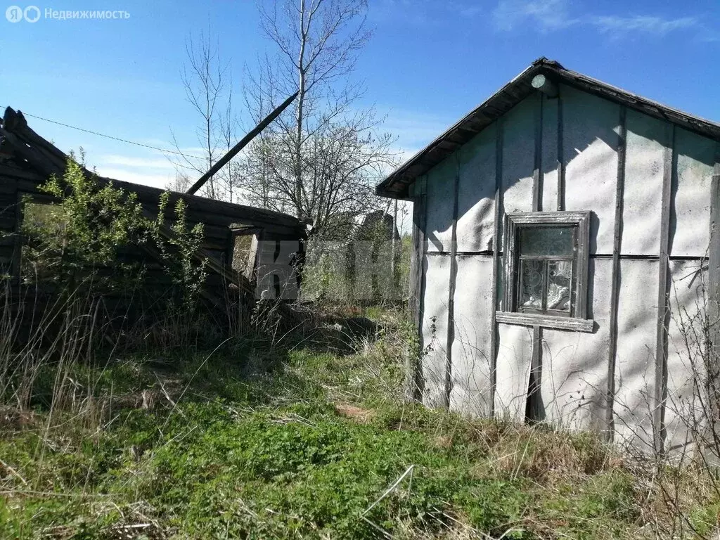 Участок в Вологодская область, Сокольский муниципальный округ, деревня ... - Фото 0