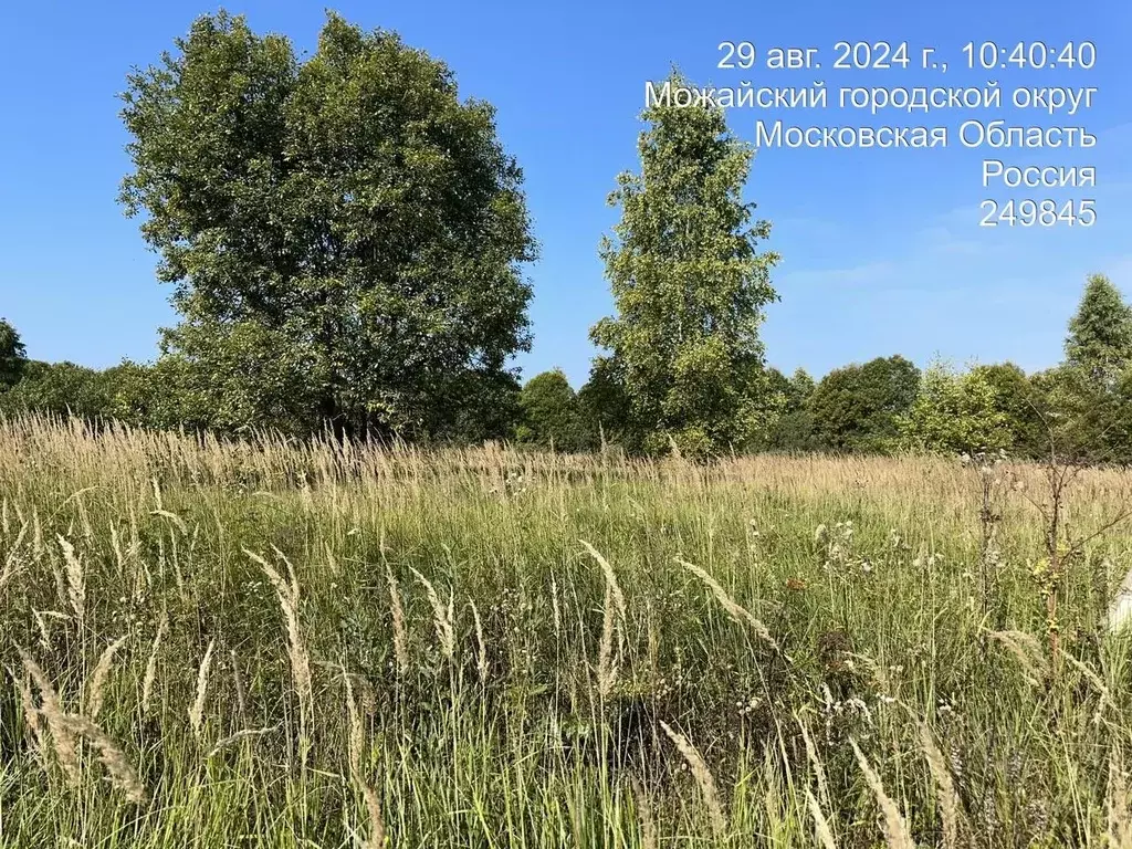 Участок в Московская область, Можайский муниципальный округ, д. ... - Фото 0