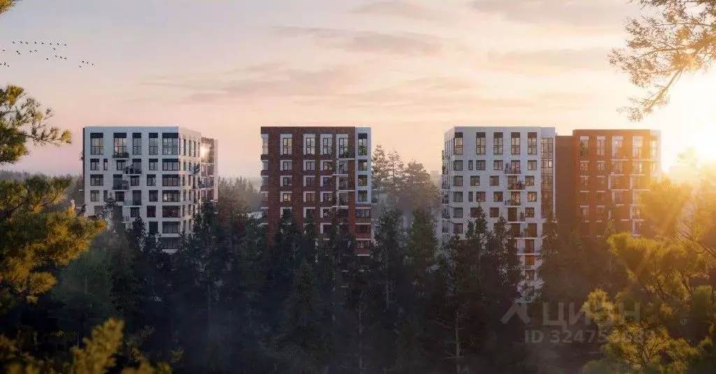 Помещение свободного назначения в Ленинградская область, Сертолово ... - Фото 1