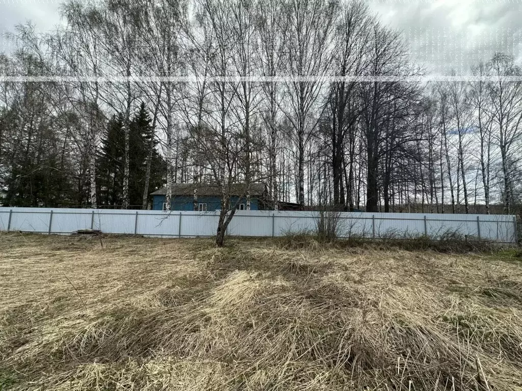 Участок в Нижегородская область, Лысковский район, д. Малиновка ул. ... - Фото 2