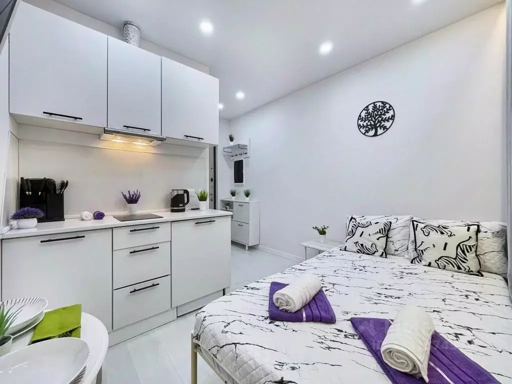 1-к кв. Москва Оружейный пер., 13С2 (18.0 м) - Фото 2