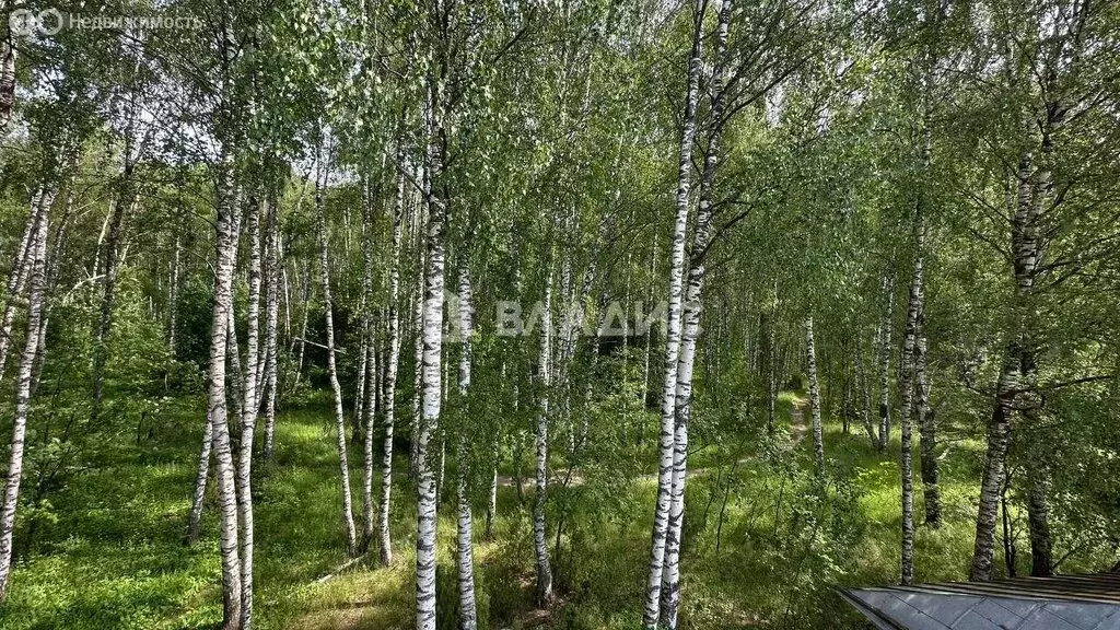 Дом в Нижегородская область, Богородский муниципальный округ, ... - Фото 1