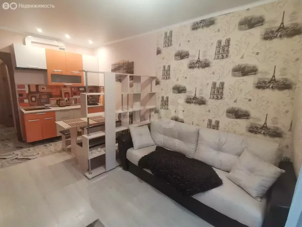 Квартира-студия: Кудрово, Европейский проспект, 21к2 (24.8 м) - Фото 2