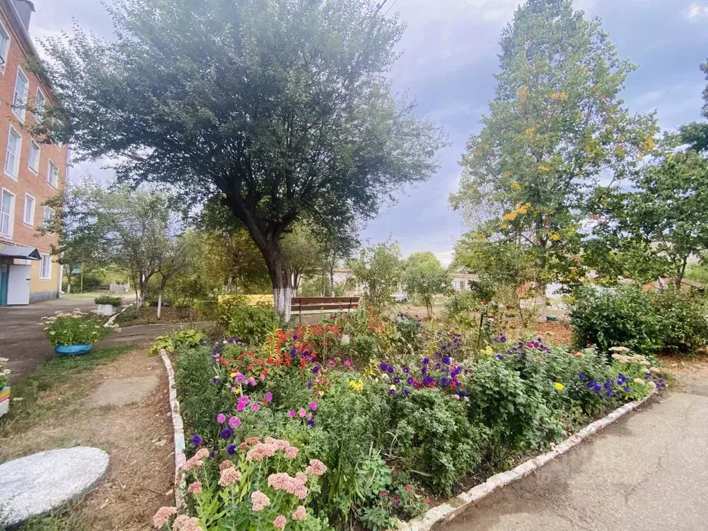 2-к кв. Краснодарский край, Апшеронск Пролетарская ул., 194 (42.0 м) - Фото 2