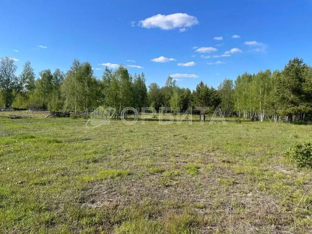 Участок в Тюменская область, Тюменский муниципальный округ, д. Елань  ... - Фото 2
