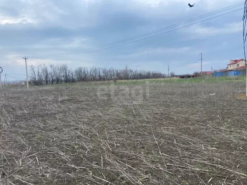 Участок в Ростовская область, Мясниковский район, с. Большие Салы ул. ... - Фото 2