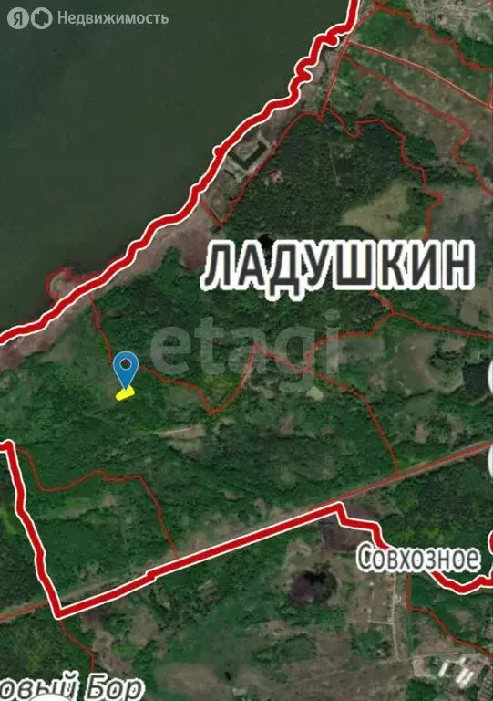 Участок в Калининградская область, Ладушкин (11 м) - Фото 1