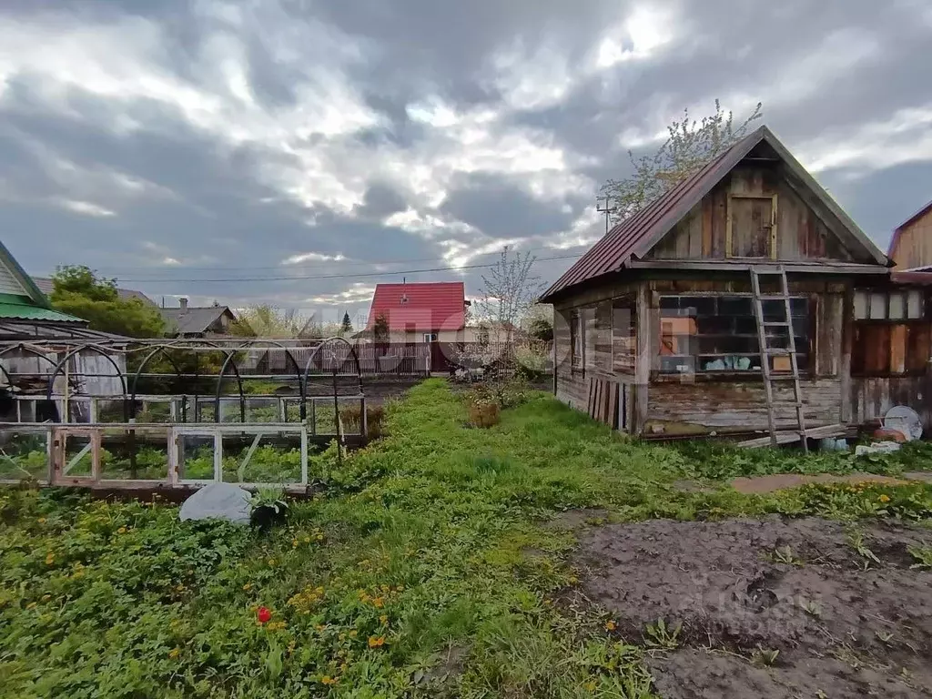 Дом в Новосибирская область, Новосибирск Садовод-ССМ садовое ... - Фото 1