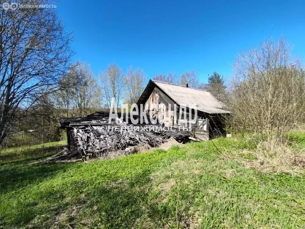 Участок в Ленинградская область, Гатчинский муниципальный округ, ... - Фото 2