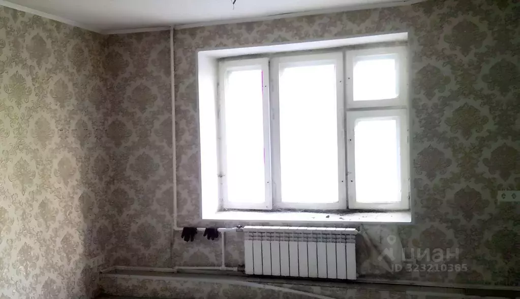 Помещение свободного назначения в Новосибирская область, Новосибирск ... - Фото 1