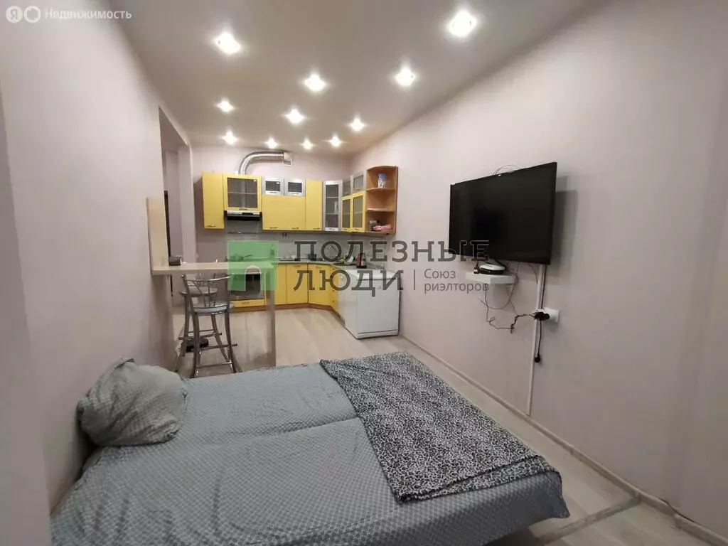 Квартира-студия: Красноярск, улица Вильского, 16А (29.8 м) - Фото 2