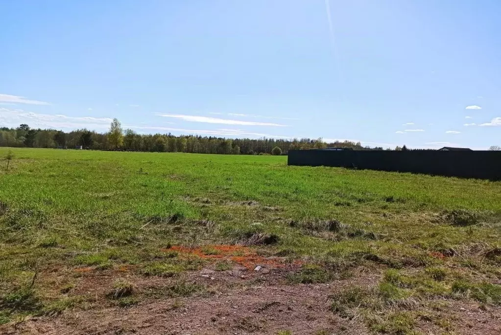 Участок в Ленинградская область, Выборгский район, Гончаровское с/пос, ... - Фото 1