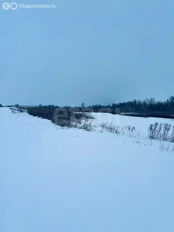 Участок в Калининградская область, Гвардейский муниципальный округ, ... - Фото 2