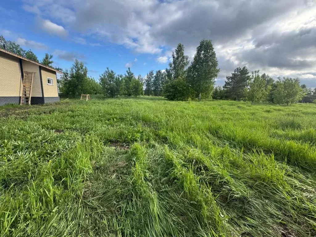 Участок в Алтайский край, Барнаул городской округ, пос. Бельмесево  ... - Фото 1