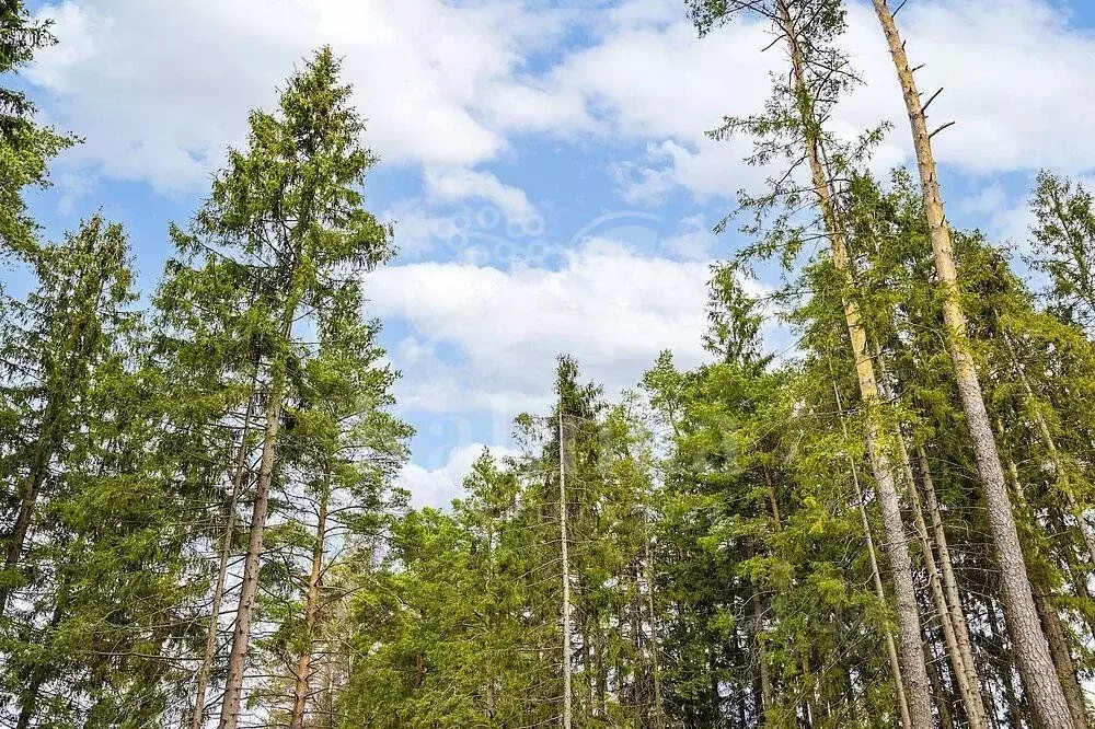 Участок в Московская область, Одинцовский городской округ, пос. ... - Фото 1