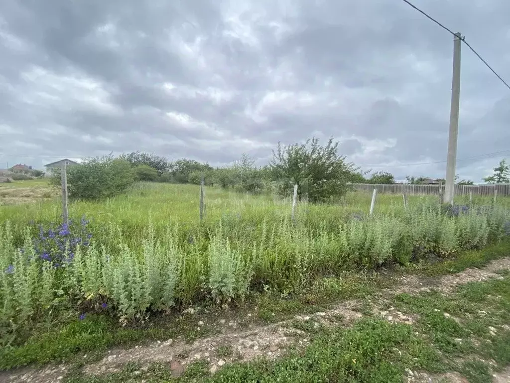 Участок в Белгородская область, Белгородский район, с. Стрелецкое, ... - Фото 0