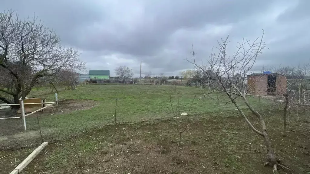 Участок в Крым, Феодосия муниципальный округ, с. Насыпное ул. Речная, ... - Фото 1