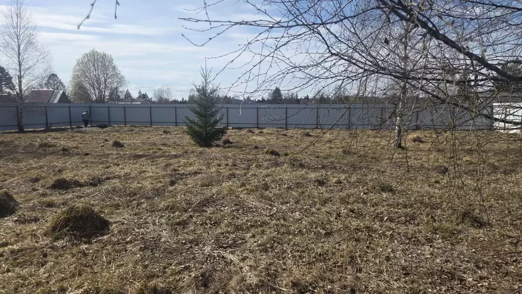 Участок в Московская область, Рузский муниципальный округ, д. Высоково ... - Фото 1