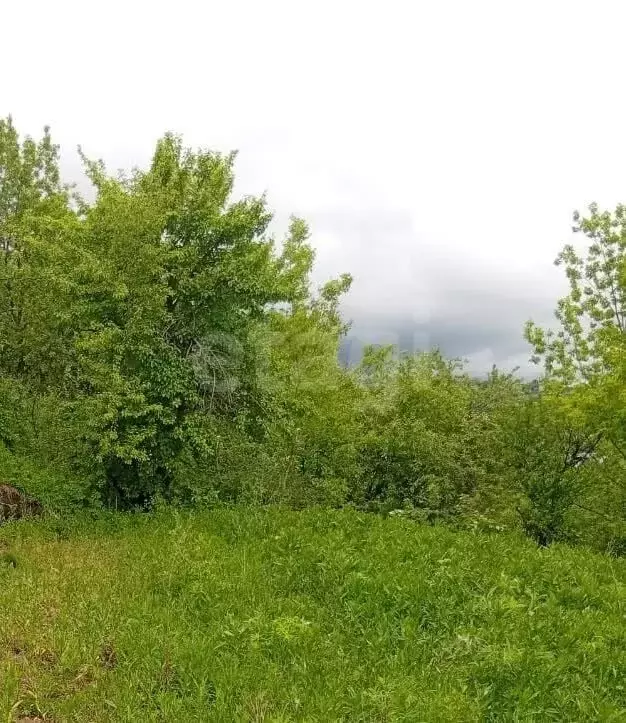 Участок в село Кызыл-Озек, Ануйская улица (12.17 м) - Фото 1