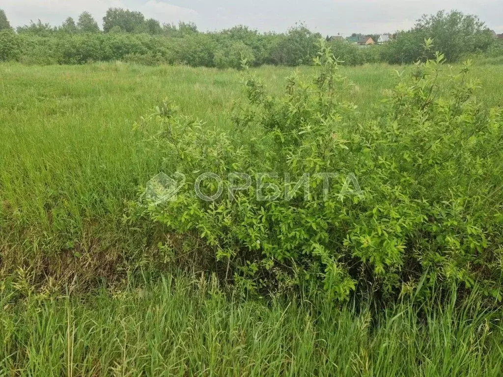 Участок в Тюменская область, Тюменский район, с. Ембаево  (5.8 сот.) - Фото 0