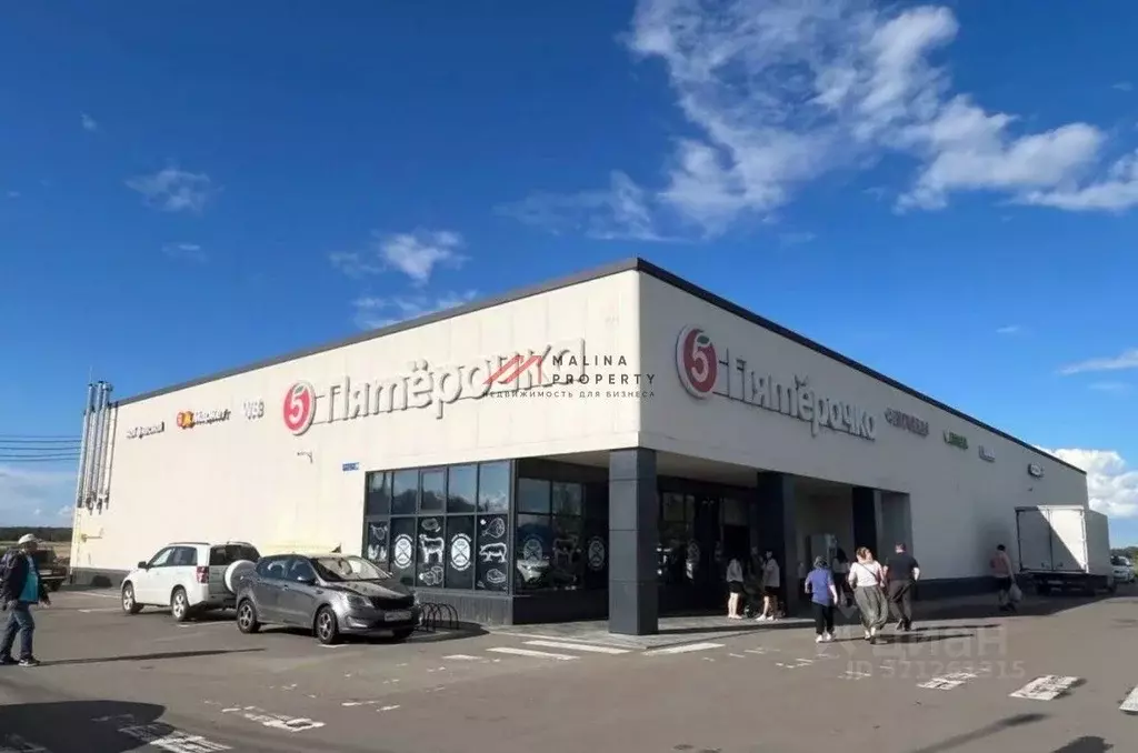 Торговая площадь в Московская область, Домодедово Белые Столбы мкр, ... - Фото 1