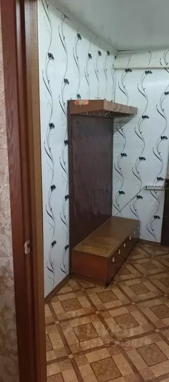1-к кв. Московская область, Серебряные Пруды муниципальный округ, д. ... - Фото 2