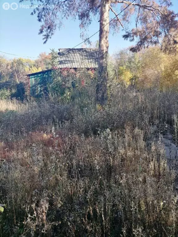 Дом в Оренбург, СНТ Родник, Цветочная улица (20 м) - Фото 1