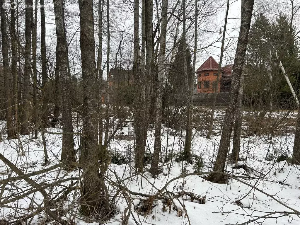 Участок в Московская область, городской округ Щёлково, деревня Горбуны ... - Фото 1