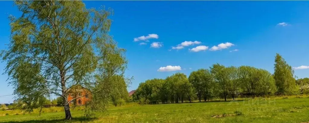 Участок в Московская область, Луховицы Луговая ул., 236 (25.0 сот.) - Фото 2