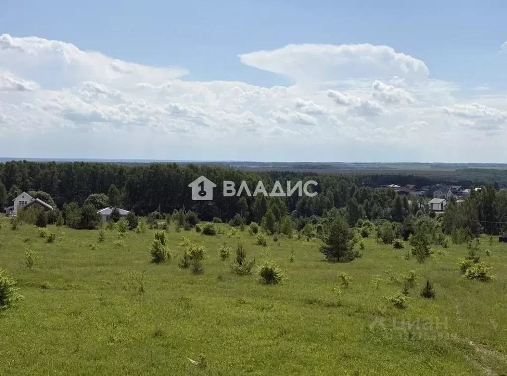 Участок в Нижегородская область, Богородский муниципальный округ, д. ... - Фото 1