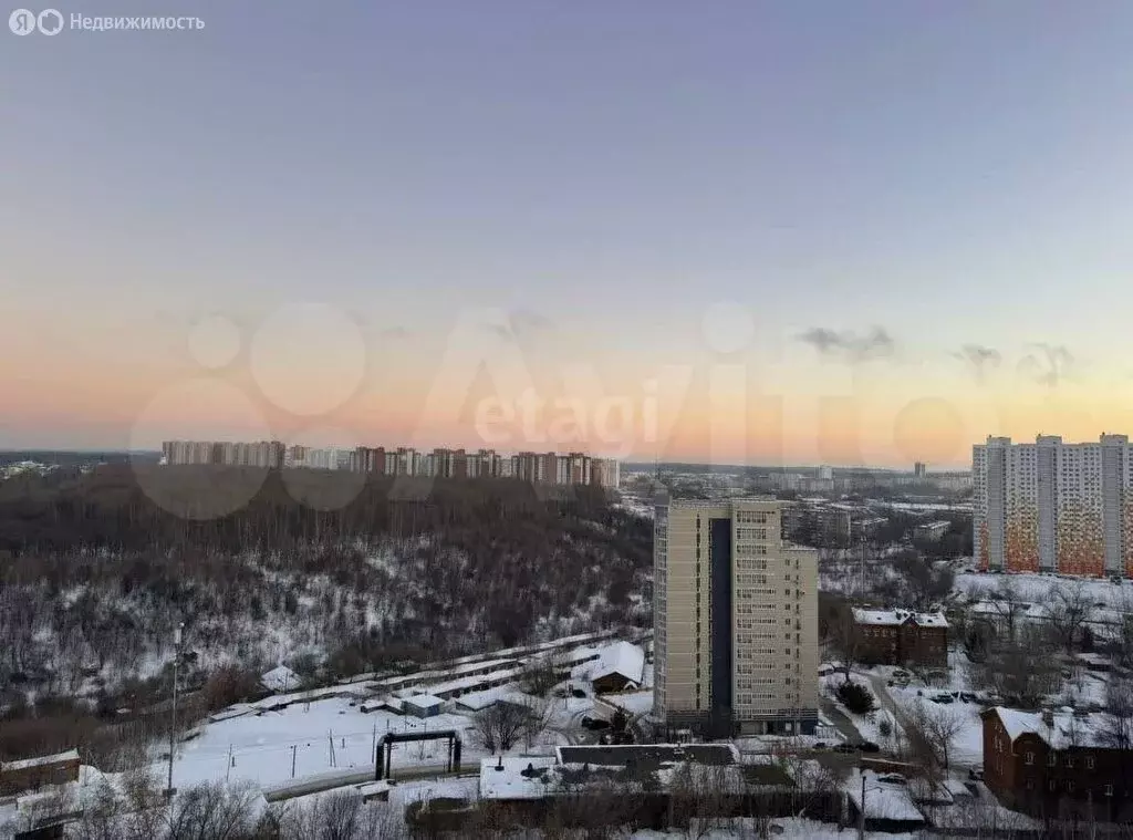 1-комнатная квартира: Пермь, улица Чернышевского, 17А (31.7 м) - Фото 1