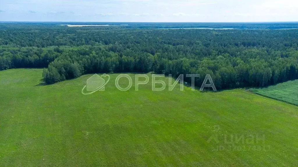 Участок в Тюменская область, Тюменский район, с. Кулига  (6.0 сот.) - Фото 1
