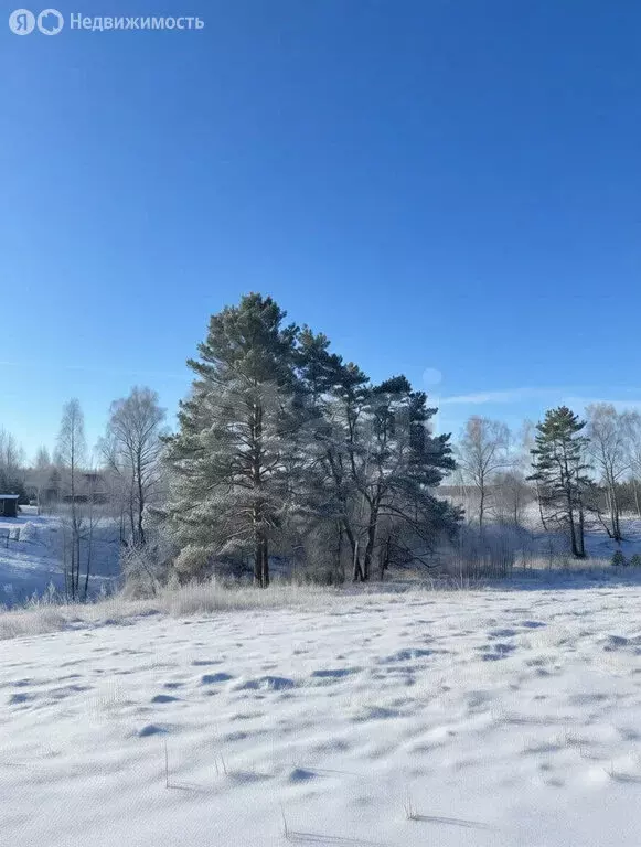 Участок в село Бунырево, ДНП Ока Лесная (8 м) - Фото 2