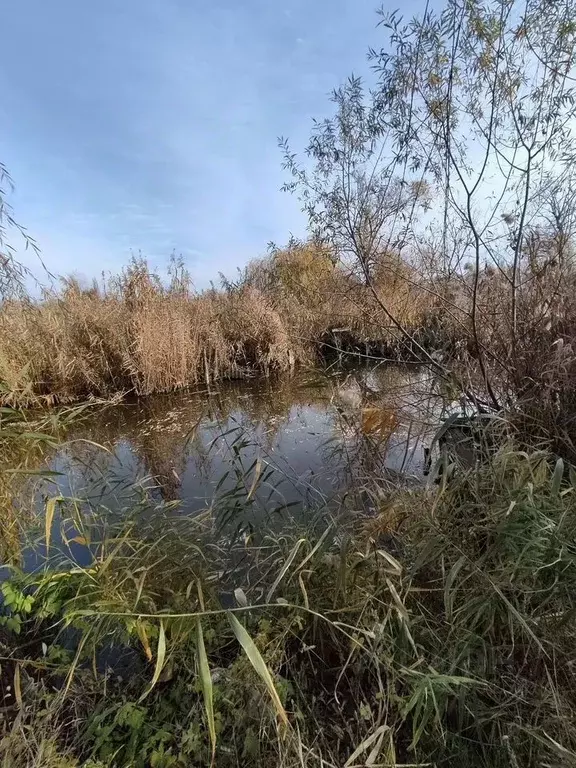 Участок в Краснодарский край, Динская ст-ца ул. Гагарина (3.0 сот.) - Фото 1