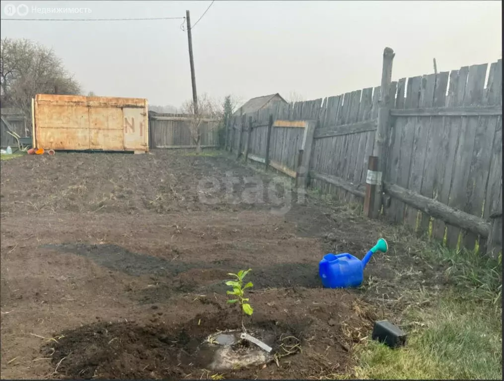 Участок в Курганская область, Шадринский муниципальный округ, СНТ ... - Фото 2