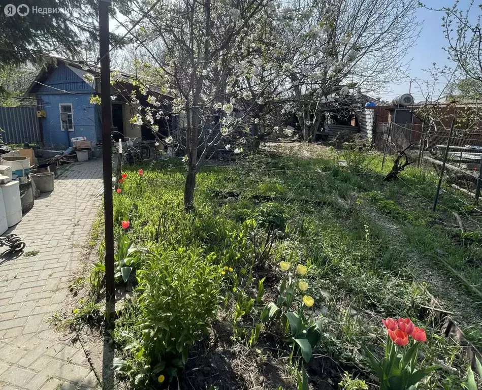 Участок в Ростов-на-Дону, Лесная улица, 116 (4.5 м) - Фото 0